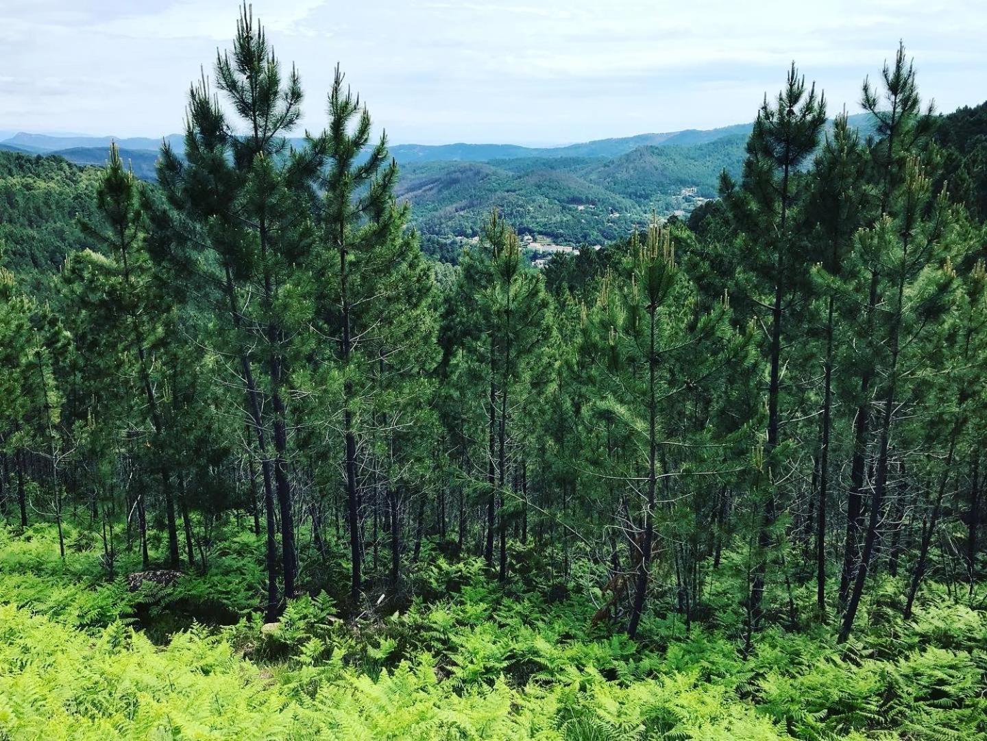 Detente Au Coeur Des Cevennes Besseges ภายนอก รูปภาพ